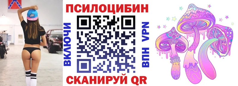 Псилоцибиновые грибы мицелий Пятигорск