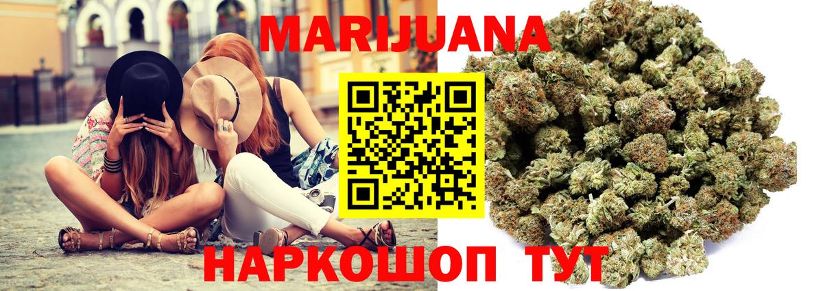Конопля план Пятигорск